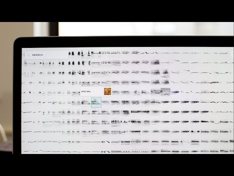 Dreamers & Sparrows: Exploring Rich Sonic Worlds